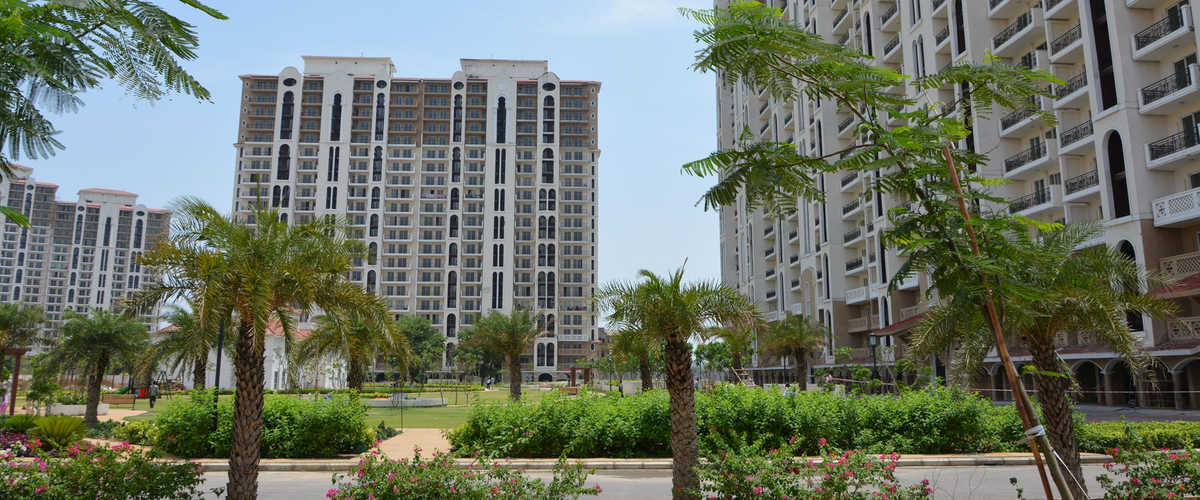 Apartment Rent DLF New Town Heights 2 Sector 86 Gurgaon