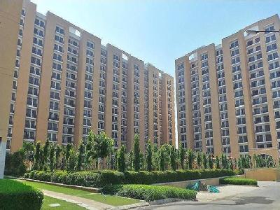 Apartment Rent Signature Global Synera Sector 81 Gurgaon