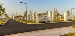 DLF Alameda Plot Gurgaon for Sale Gurgaon