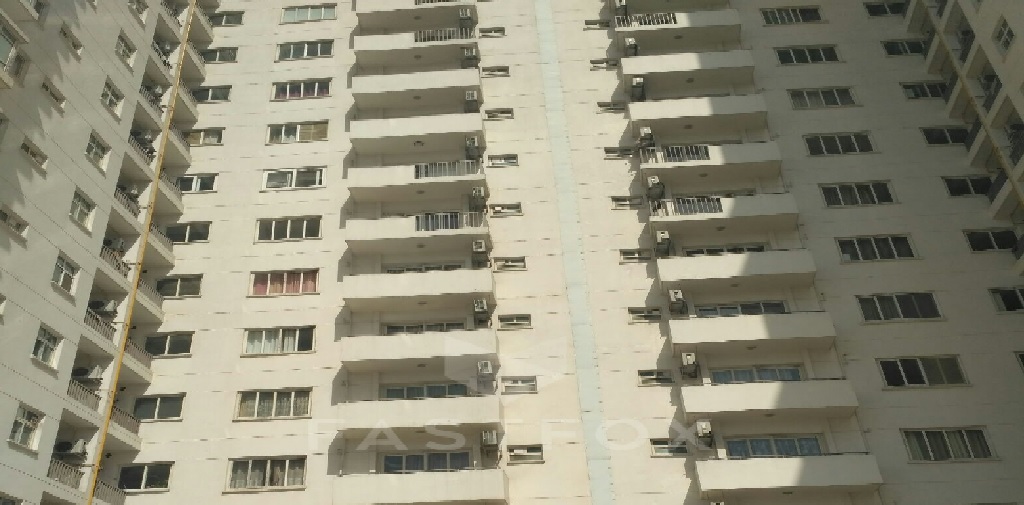 Apartment Rent Palm Drive Sector 66 Gurgaon