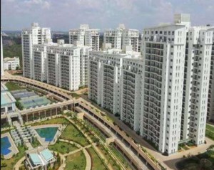 AWHO Apartment Rent Sector 49 Gurgaon