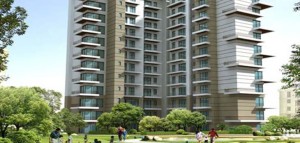 3 BHK Ansal Heights Apartment Sale Sector 92 Gurgaon