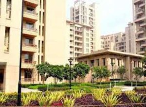 Ansal Maple Heights Apartment Rent Sushant Lok 2 Gurgaon