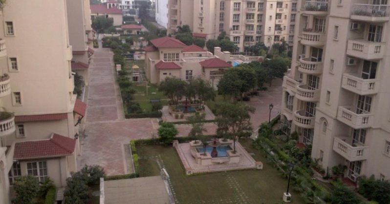 3 BHK Rent Beverly Park Gurgaon