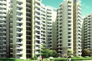 CHD Avenue Apartment For Rent In Sector 71 Gurgaon