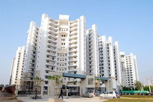 Cosmos Apartment Rent Palam Vihar Gurgaon