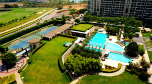 DLF Aralias Apartment Rent Golf Course Road Gurgaon