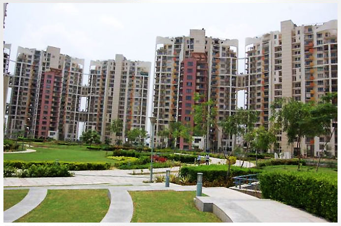 DLF Belvedere Park Apartment Rent Dlf Phase 3 Gurgaon