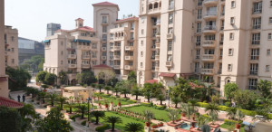 DLF Beverly Park 1 Apartment Rent MG Road Gurgaon