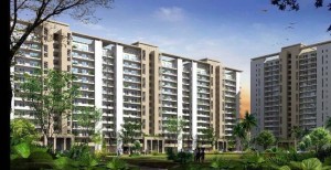 DLF New Town Heights Apartmen Rent Sector 86 Gurgaon