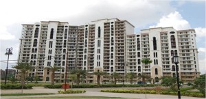 New Town Heights Flat Rent Sector 86 Gurgaon