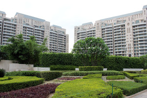 DLF The Aralias Apartment Rent Golf Course Road Gurgaon