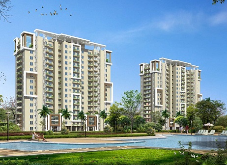 3 BHK Emaar MGF Palm Spring Apartment Sale DLF Phase 5 Gurgaon