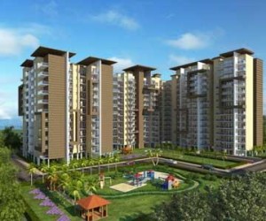 Lower Floor Galaxy Apartment Rent Sector 43 Gurgaon