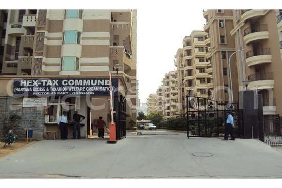 4 BHK Rent Hextax Commune Gurgaon