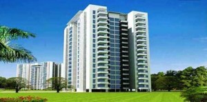 ILD Grand Apartment Sale Sector 37 C Gurgaon
