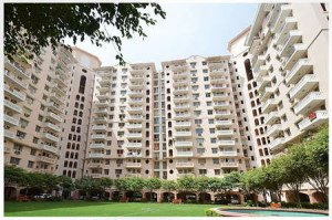 Jai Heights Flat Rent Sector 52 Gurgaon