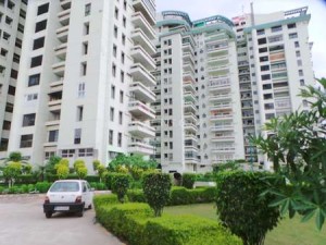 Mittal Cosmos Apartment Rent Palam Vihar Gurgaon