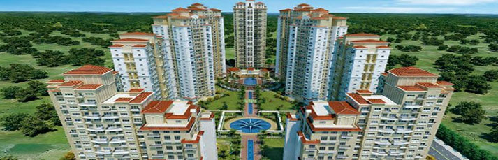 Lower Floor DLF New Town Heights 3 Apartment Rent Sector 91 Gurgaon