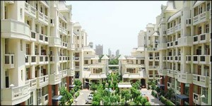 Parsvnath Green Ville Flat Rent Gurgaon