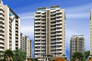 Lower Floor Supertech Araville Apartment Sale Sector 79 Gurgaon