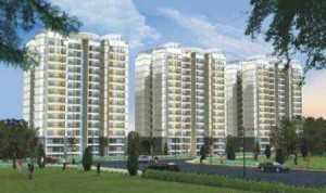 The Grand Apartment Sale Sector 92 Gurgaon