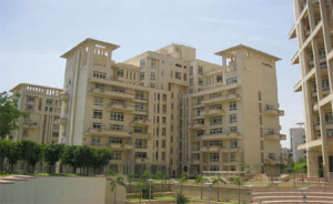 The Ivy Flat Rent Gurgaon