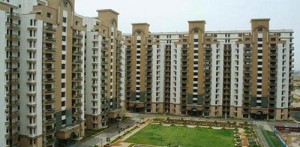 Today Callidora Apartment Sale Sector 73 Gurgaon