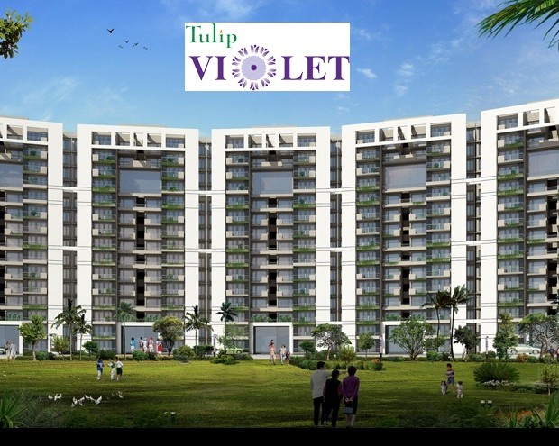 Higher Floor Tulip Violet Apartment Sale Sector 69 Gurgaon