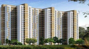 Unitech Espace Apartment Rent Nirvana Country Gurgaon