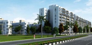 3 BHK Vatika City Homes Apartment Sale Sector 83 Gurgaon