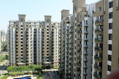 3 BHK Rent Vipul Greens Gurgaon