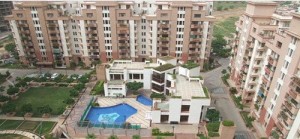 Vipul Orchid Square Apartment Rant Suncity Gurgaon