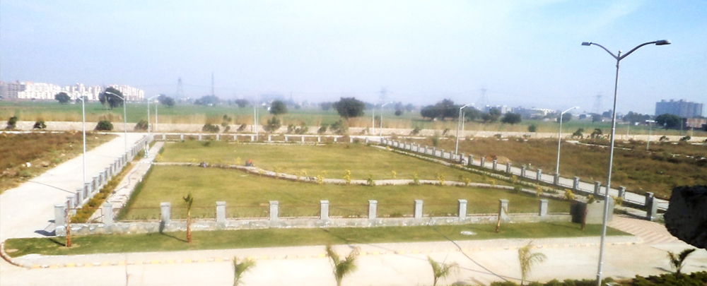 Extraordinary Plot Sale Gurgaon