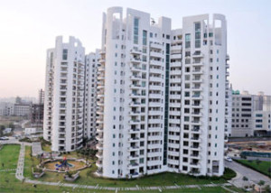 Parsvnath Exotica Apartment For Rent In Sector 53 Gurgaon