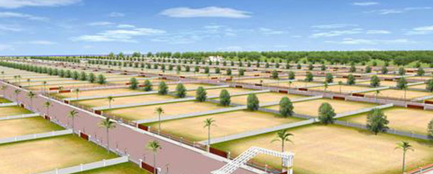 Plot Sale Dlf 1 Gurgaon