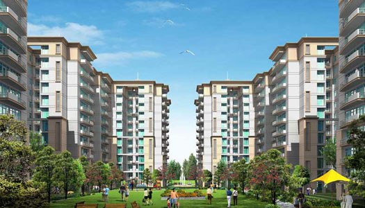 Higher Floor Tulip Petals Apartment For Rent In Sector 89 Gurgaon