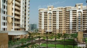 Silver Oak Apartment For Rent DLF Phase 1 Gurgaon