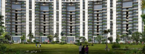 2010 sq ft Tulip Violet Apartment Sale Sectopr 69 Gurgaon